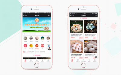 小程序商城開發小程序定制開發微信公眾號B2C商城開發基礎版